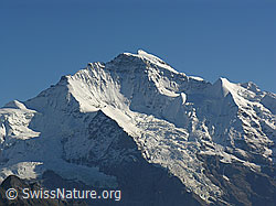 F040283: Jungfrau mit Silberhorn