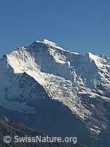 F040285: Jungfrau und Silberhorn