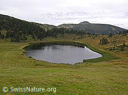 F040300: Bergsee in Moorgebiet