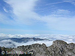 F040339: Nebelmeer an den Voralpen