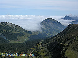 F040341: Schimbrig und Nebelmeer