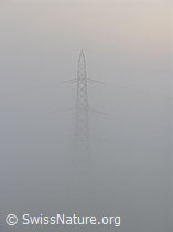 F041068: Hochspannungsmast im Nebel