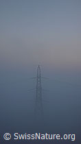 F041090: Hochspannungsmast im Nebel