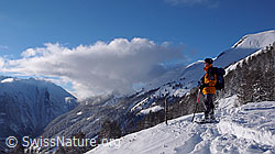 F041916: Schneeschuhläuferin