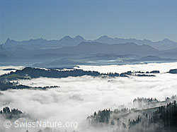 F042267: Nebelmeer über dem Emmental