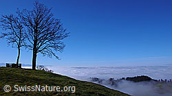 F042305: Nebelmeer über dem Emmental