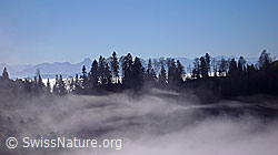 F042343: An der Nebelgrenze