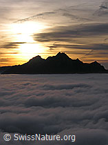 F042848: Pilatus mit Sonnenuntergang und Nebelmeer