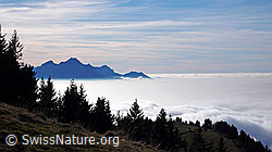 F042944: Pilatus
