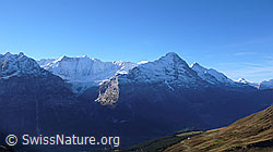 F043096: Eiger von Grindelwald First