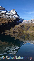 F043125: Mandelbrot-Spiegelung
