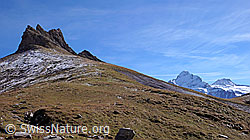 F043153: Ritzengrätli