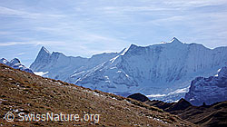 F043155: Finsteraarhorn und Fiescherhörner
