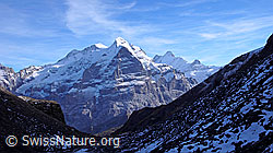 F043213: Rosenhorn, Mittelhorn, Wetterhorn