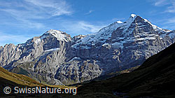 F043221: Wellhorn, Mittelhorn, Wetterhorn