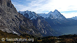 F043248: Grosse Scheidegg, Mättenberg, Eiger