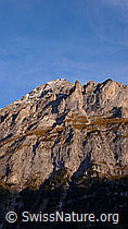 F043256: Mättenberg, Grindelwald