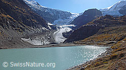 F043290: Steingletscher, Gletscherzunge, Steinsee
