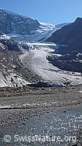 F043305: Gletscherzunge und Gletschertor