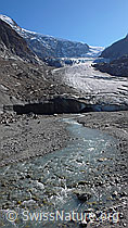 F043315: Steingletscher, Gletschertor und Gletscherbach