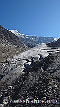 F043329: Steingletscher