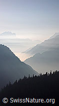 F043439: Nebelstimmung