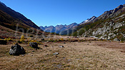 F043535: Im Hochmoor Grund