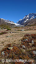 F043536: Moorlandschaft Grund