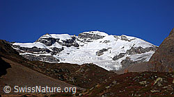 F043623: Grosshorn und Jegigletscher
