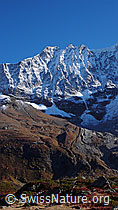 F043625: Lonzahörner
