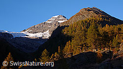 F043669: Lauterbrunnen Breithorn und Inner Talgletscher