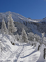 F044125: Berglandschaft mit Spur im Neuschnee