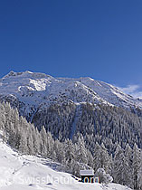 F044139: Verschneiter Bergwald und Hütte