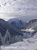 F044173: Binntal mit Neuschnee