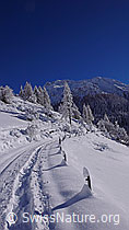 F044190: Schneeschuhtrail in Berglandschaft