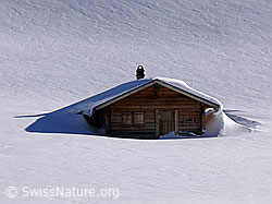 F045493: Alphütte im Schnee