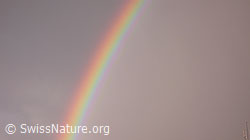F045684: Regenbogen