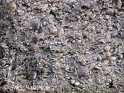 F045773: Nagelfluh