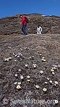F047177: Wandern im Bergfrühling