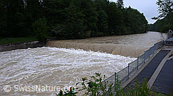 F048840: Fluss mit Hochwasser
