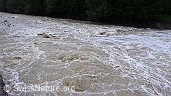 F048849: Hochwasser führende Emme