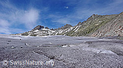 F049901: Rhonegletscher