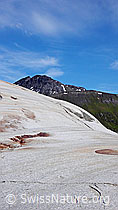 F049905: Gletscherschliff
