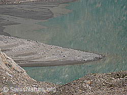 F050078: Zufluss Griessee