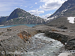 F050083: Gletscherbach Griesgletscher
