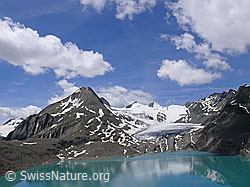 F050090: Griessee