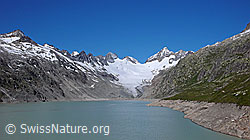 F050298: Oberaarsee, Oberaargletscher und Oberaarhorn