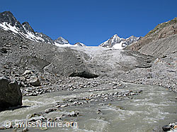 F050447: Gletschermilch, Gletschertor und Gletscherzunge