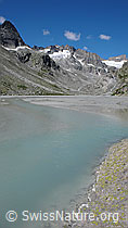 F051123: Gletscherbach in Schwemmebene des Bächlitals