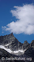 F051149: Brünberg mit Quellwolke